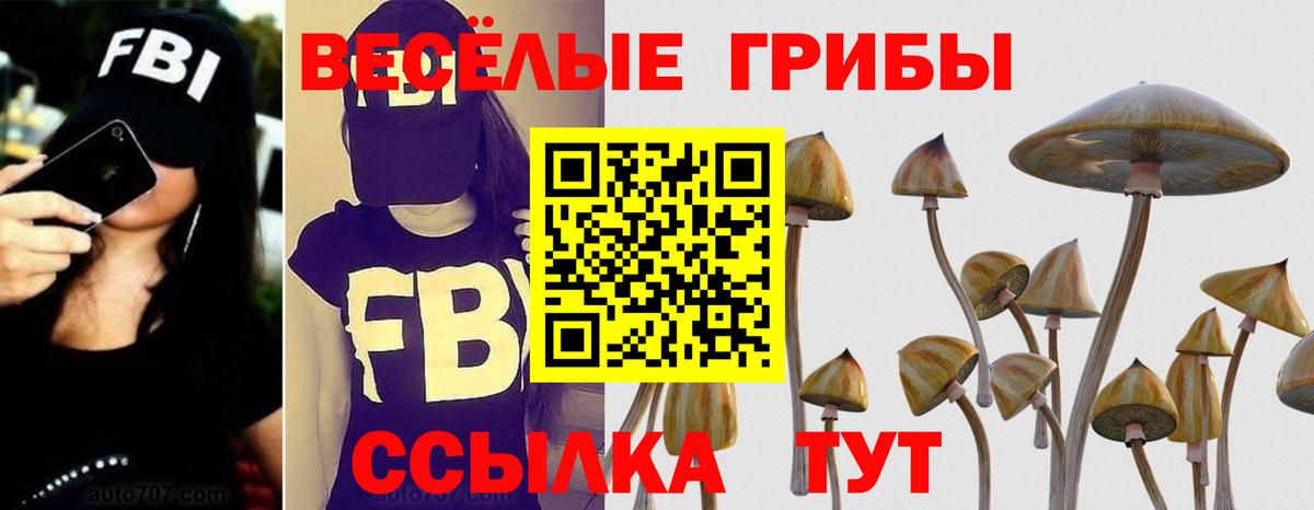 Псилоцибиновые грибы Psilocybine cubensis  Вход с VPN  Кстово 
