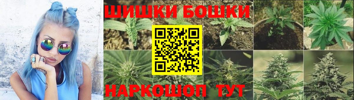 Бошки Шишки конопля Кстово